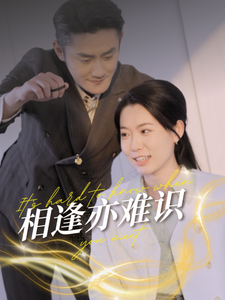 相逢亦难识的封面海报