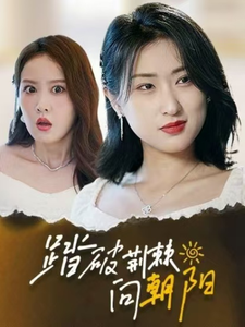 踏破荆棘向朝阳的封面海报