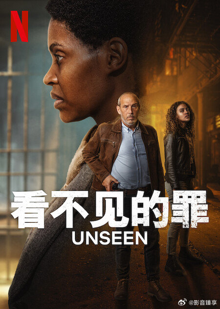 看不见的罪 第二季
