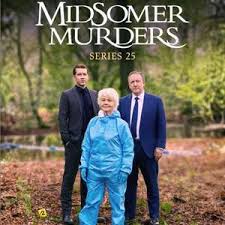 骇人命案事件簿 第二十五季