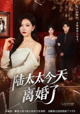 陆太太今天离婚了 - 短剧 2026