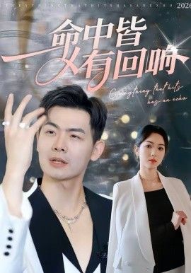 命中皆有回响 - 短剧 2026