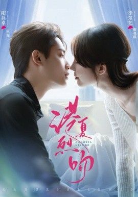 港夏烈吻 - 短剧 2026