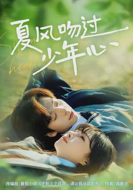 夏风吻过少年心 - 短剧 (2026)