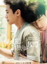 向流星许愿的我们 - 台湾剧 2026