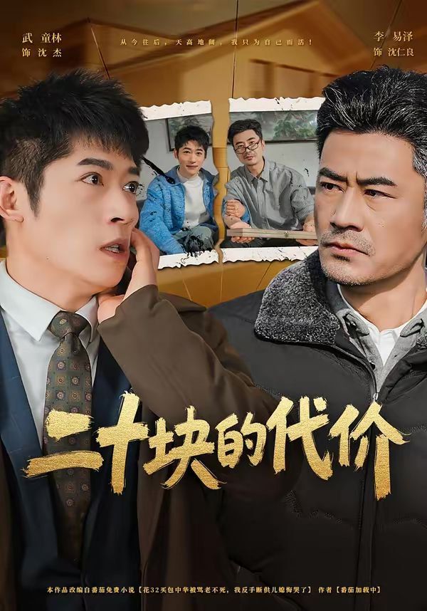 二十块的代价 - 短剧 2026