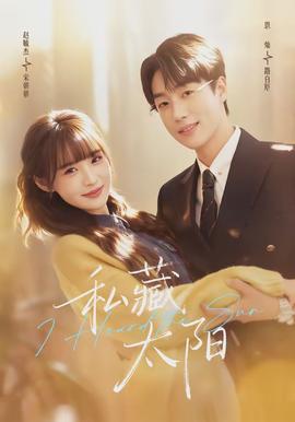 私藏太阳 - 短剧 2026