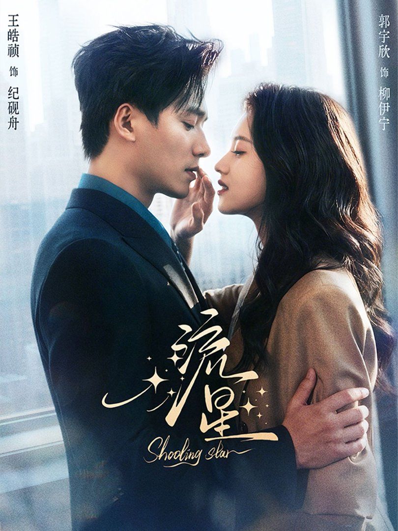 流星 - 短剧 2026
